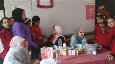 اليوم.. قافلة طبية مجانية بقرية جزيرة نكلا بالبحيرة لمدة يومين