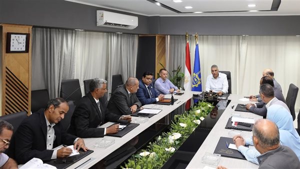 محافظ أسوان