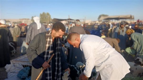 بيطري أسيوط 