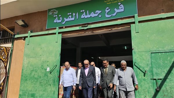 محافظ الأقصر يتفقد