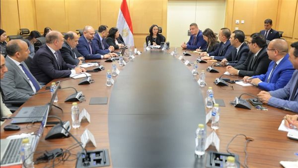 التضامن الاجتماعي