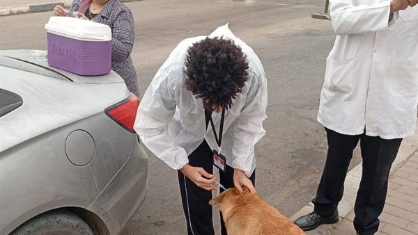 حملات لتطعيم الكلاب