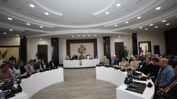 محافظ أسوان