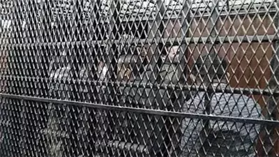 بعد ترويع مواطن داخل الزراعات.. السجن 10 سنوات لعامل ونجله في قنا 