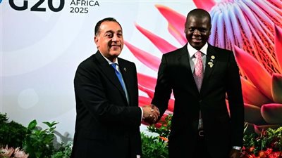 رئيس الوزراء يشارك في فعاليات الجلسة الافتتاحية لقمة مجموعة العشرين بجوهانسبرج