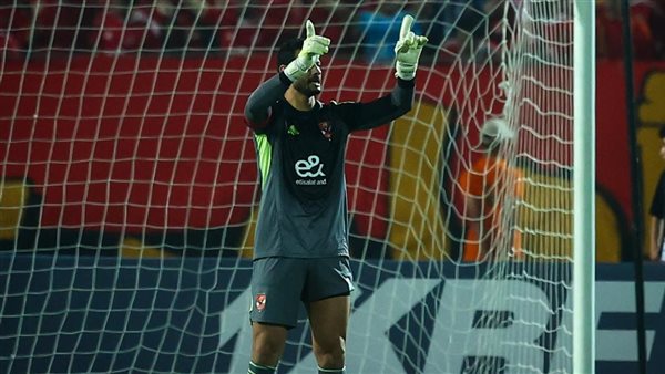 محمد الشناوي