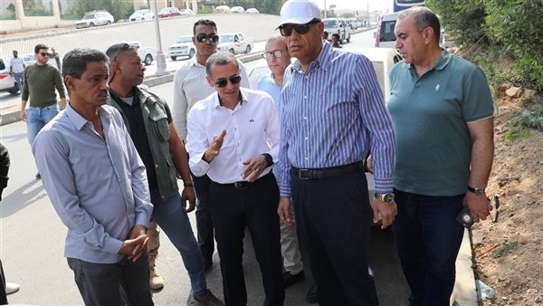 محافظ أسوان