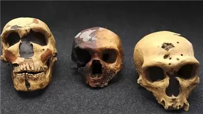 لماذا اختفى إنسان نياندرتال؟.. دراسة تكشف فرضية جديدة