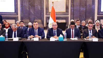 مصر والجزائر تبحثان تعزيز التعاون الاقتصادي والاستثماري في اجتماعات الخبراء التحضيرية