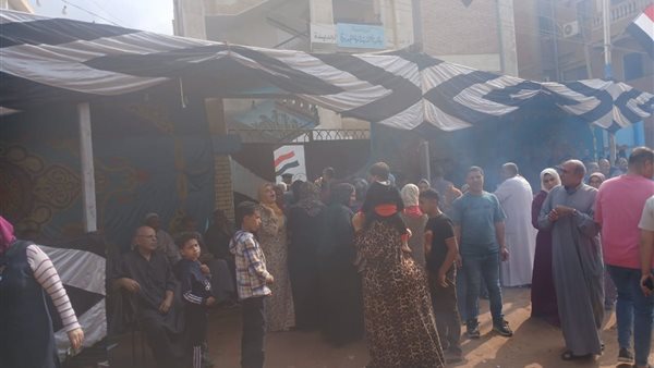 انتخابات النواب بالمحلة