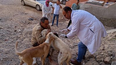 استجابة لشكاوى المواطنين.. حملة واسعة لتعقيم وتحصين الكلاب ضد السعار بمدينة سفاجا| صور