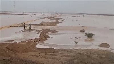 تحرك عاجل من رئيس مدينة مرسى علم.. سيل كبير يضرب قرية برنيس جنوب البحر الأحمر| صور