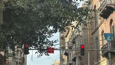 لتفادي الحوادث.. حي وسط بالإسكندرية يقلم أشجارا تعيق الرؤية