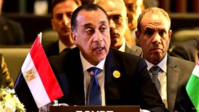 مدبولي: الأزمات المتتالية في قارتنا أثبتت أن الأمن الإفريقي هو أمن أوروبي أيضًا