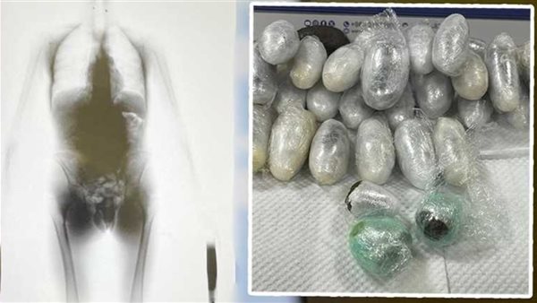  إحباط تهريب مخدر