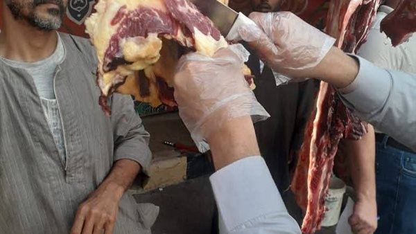 الحملة البيطرية