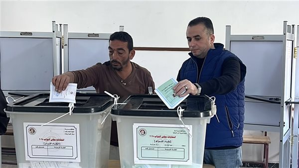 لجان الانتخابات 