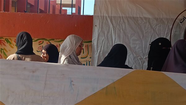 انتخابات النواب بجنوب