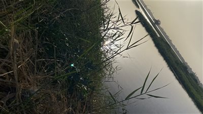 انقطاع المياه بنجع علوان اليوم لمدة 7 ساعات لاستكمال أعمال الصرف الصحي بالأقصر