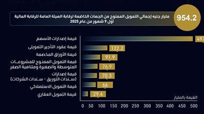الرقابة المالية: 954.2 مليار جنيه إجمالي التمويل غير المصرفي خلال 9 أشهر 