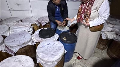 ضبط 8 أطنان أسماك مملحة فاسدة داخل مخزن بمدينة طلخا في الدقهلية