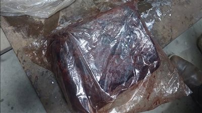 محافظ أسيوط: ضبط أكثر من طن ونصف لحوم غير صالحة للاستهلاك الآدمي خلال حملة مفاجئة بمنقباد