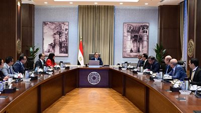 رئيس الوزراء: خطة متكاملة لتشجير مختلف المحاور والطرق الرئيسية بالقاهرة الكبرى