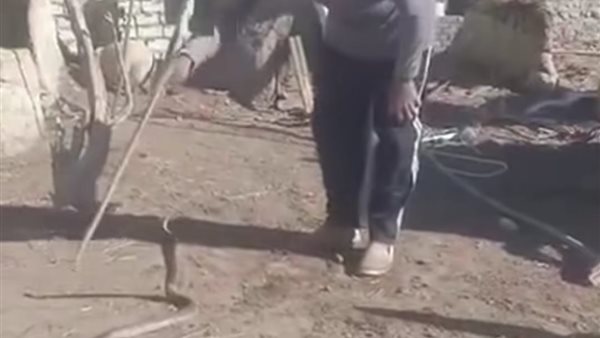 جانب من الواقعة