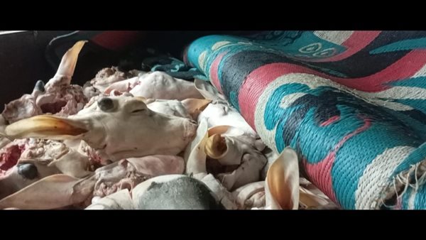 جانب من المضبوطات