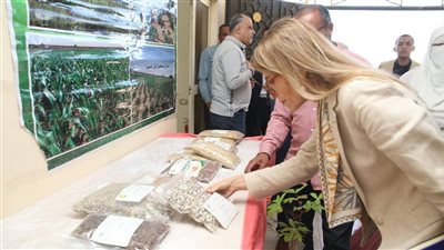 نائبة محافظ الوادي الجديد ومديرة 