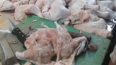 ضبط دواجن غير صالحة للاستهلاك الآدمي خلال حملة تفتيشية بشبرا الخيمة