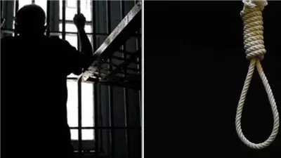 إحالة أوراق المتهم بقتل زوجين مسنين في المنوفية إلى المفتي