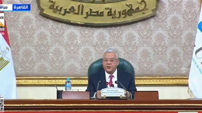 رئيس النواب: مصر ترفض أي محاولة لتقسيم قطاع غزة أو تهجير سكانه