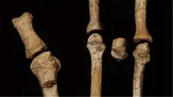 تحديد هوية صاحب القدم