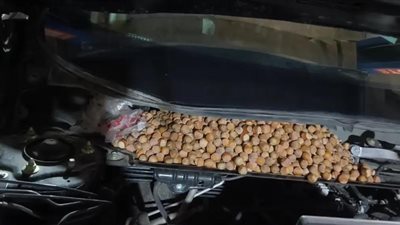 سائق صيني يعثر على أكثر من 18 كيلو بندق مخزنة داخل سيارته 