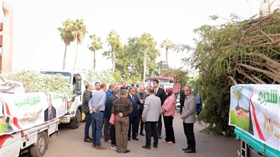 محافظ الدقهلية يشهد استلام 27 ألف شجرة ضمن المرحلة الرابعة من مبادرة 100 مليون شجرة