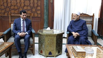 شيخ الأزهر يشدد على ضرورة تحصين الشباب العربي من مخاطر الغزو الثقافي