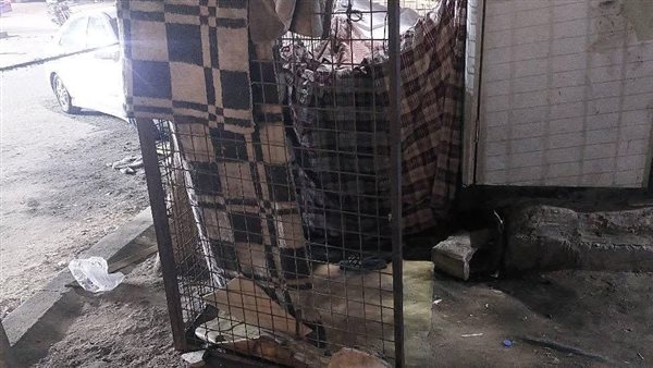 شكاوى سكان مدينة