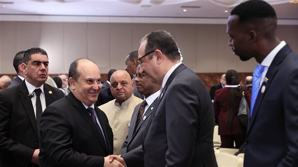 وزير قطاع الأعمال