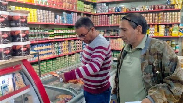 حملات احياء الإسكندرية