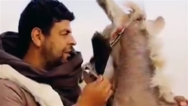 شاب يرقص مع حمار