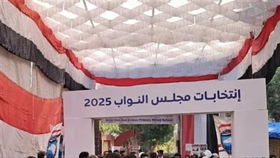 عدم تقديم الهيئة للمحاضر يمثل إخلالًا بالتزامها القانوني.. حيثيات حكم الإدارية العليا بإلغاء نتائج انتخابات الدلنجات بالبحيرة