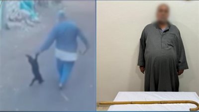 القبض على عامل لتعديه على قطة بعصا خشبية بالشرقية