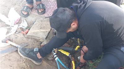 حي وسط بالإسكندرية يتابع أعمال إضاءة الشوارع بنطاق الحي