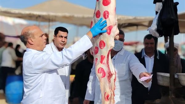 الزراعة تضبط لحوم