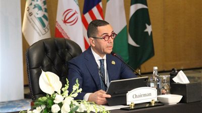 وزير الاستثمار يترأس اجتماعات الدورة الرابعة لمجلس وزراء التجارة بمجموعة الدول الثماني النامية 