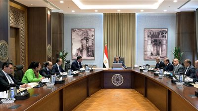 رئيس الوزراء يتابع أعمال تطوير ورفع كفاءة شبكة الطرق المؤدية إلى مطار الإسكندرية الدولي