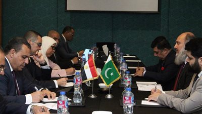 مصر وباكستان تدرسان إقامة خطوط شحن مباشرة بين موانئ شرق بورسعيد والسخنة وكراتشي وكوادار