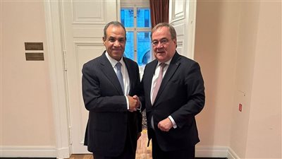 وزير الخارجية يلتقي رئيس لجنة العلاقات الخارجية بالبرلمان الألماني