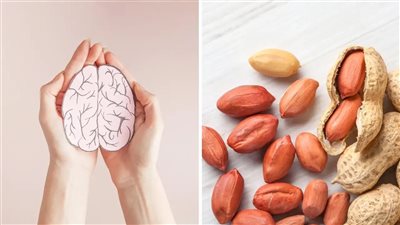 دراسة: تناول الفول السوداني يحسن الذاكرة والوظائف الإدراكية